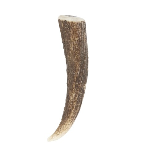 Staghorn Tip Kilt Pin